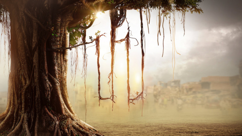 Что посмотреть дома в ноябре 2021: интересные фильмы и сериалы от Игромании